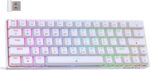 DIERYA DK63 60% Wireless Mechanical Gaming Keyboard | Bluetooth/2.4G/Wired | RGB Backlit | Anti-Ghosting Compact 63-Keys Mini Keyboard | with Red Switch | for Windows Laptop PC Gamer Typist-White