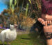 A baby Seikret from Monster Hunter Wilds as a minion in the Final Fantasy 14 crossover collab. It's a white baby bird with a goofy expression. There is a female miqo'te superimposed on the right side grinning with her hands over her face.