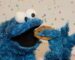 Is the Cookie About ...