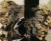 Yoji Shinkawa's artwork of Old Snake and Liquid Ocelot from MGS 4.