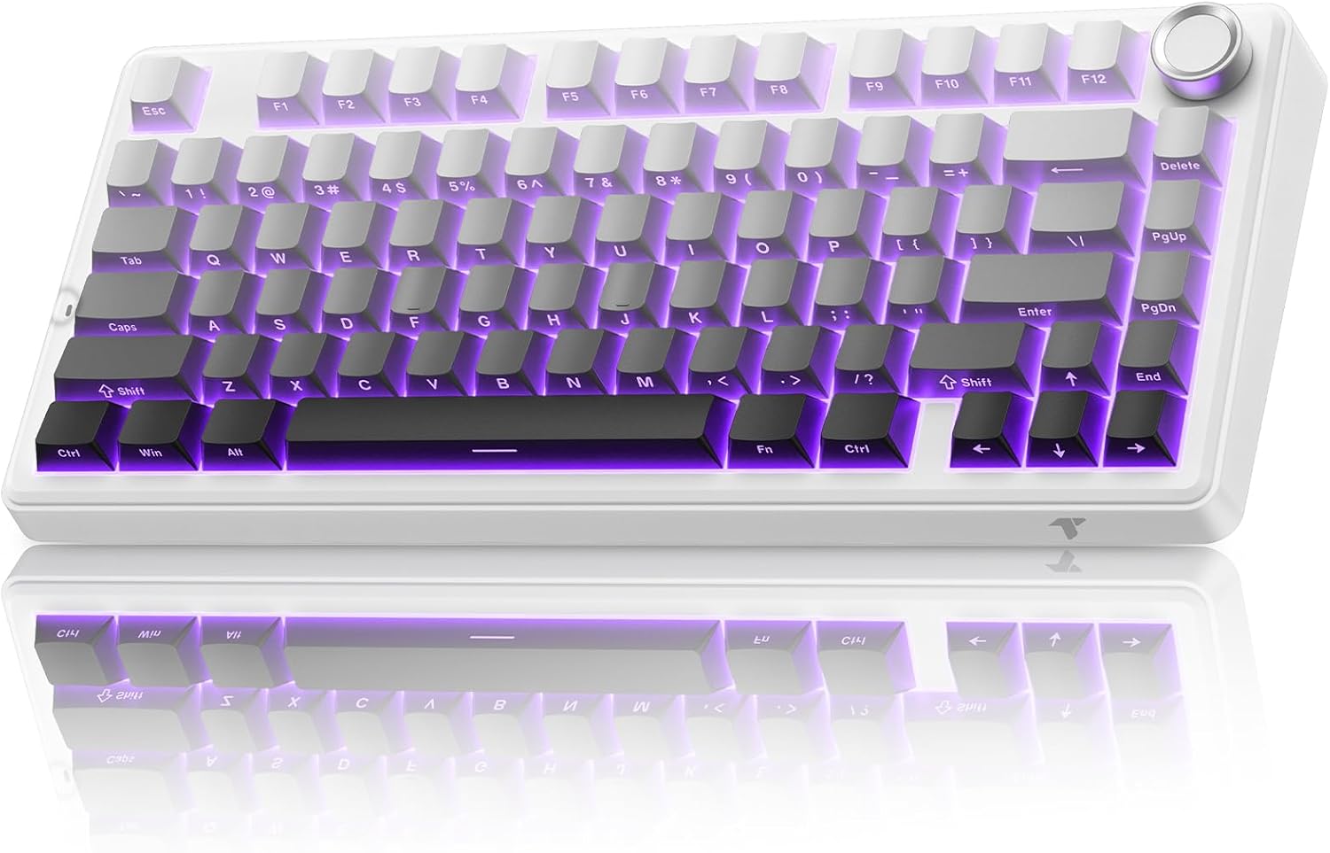 TECURS 75% Mechanical Keyboard for Gaming & Office, Creamy Sound, Gasket Mount, Hot-Swap RGB Backlit 81 Keys Keyboard for Laptop/PC/Mac, 2.4G/Bluetooth/Wired Mode, Gradient Grey